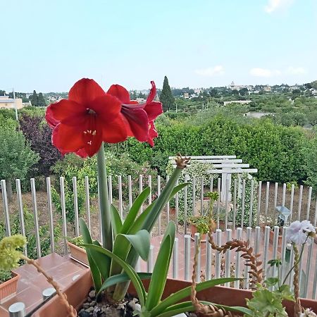 Casa Mastronardi Bed & Breakfast Castellana Grotte Exterior photo