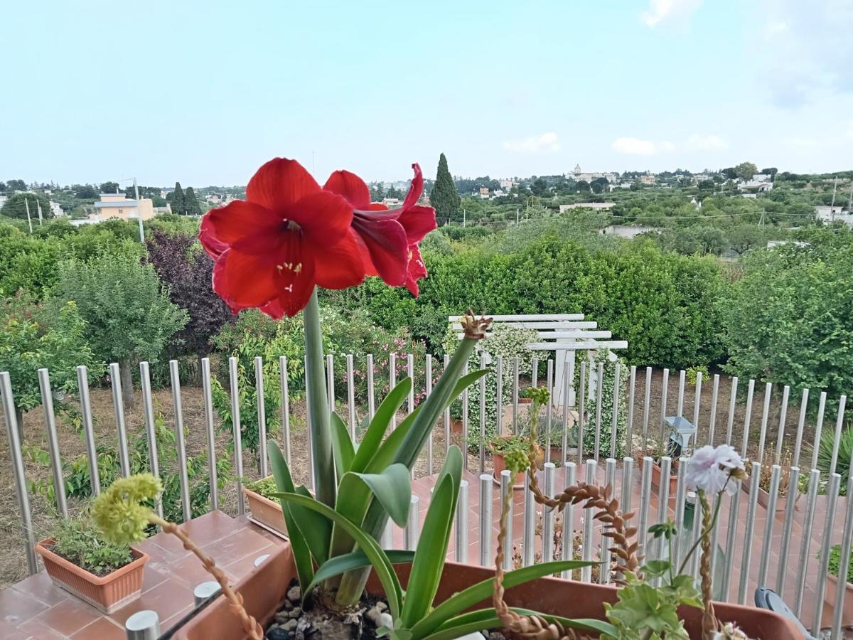 Casa Mastronardi Bed & Breakfast Castellana Grotte Exterior photo