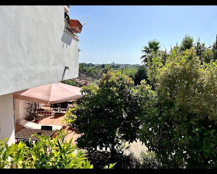 Casa Mastronardi Bed & Breakfast Castellana Grotte Exterior photo